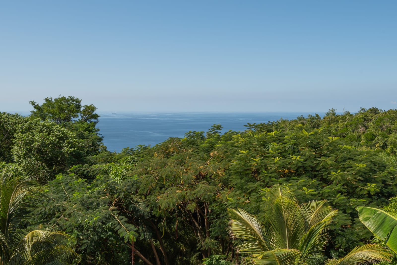 Vue sur la mer des Caraïbes depuis les hauteurs boisées du Bas Morne, aux Anses d'Arlet